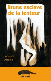 Picture of Brune esclave de la lenteur