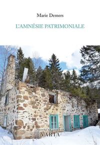 Image de L'AMNESIE PATRIMONIALE