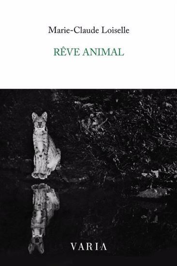 Picture of REVE ANIMAL