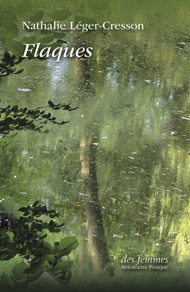Picture of Flaques