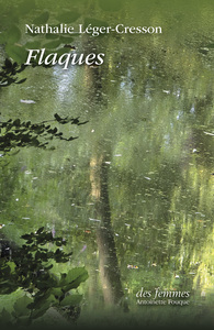 Picture of Flaques