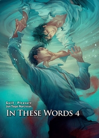 Picture of In these words T04