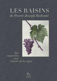 Picture of Les raisins de Jean-Joseph Redouté