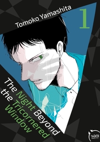 Picture of The night beyond the tricornered window T01