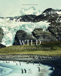 Picture of WILD