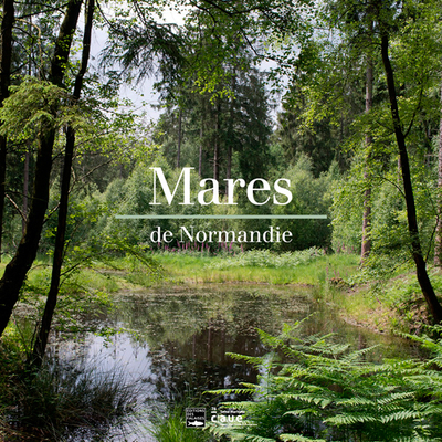 Picture of Mares De Normandie