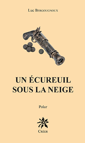 Image de Un écureuil sous la neige - Polar
