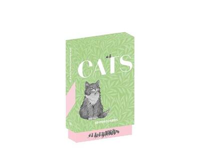 Picture of Cats 50 Postcards /anglais