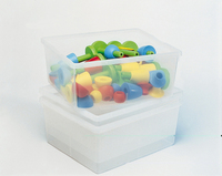 Picture of Bacs Nathan profonds incolores