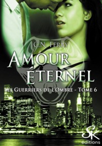 Image de Les guerriers de l'ombre 6