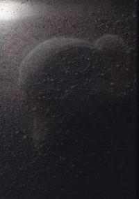 Image de Dagmar Keller Martin Wittwer Passengers