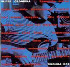 Image de ORDORIKA, RUPER * BILDUMA BAT