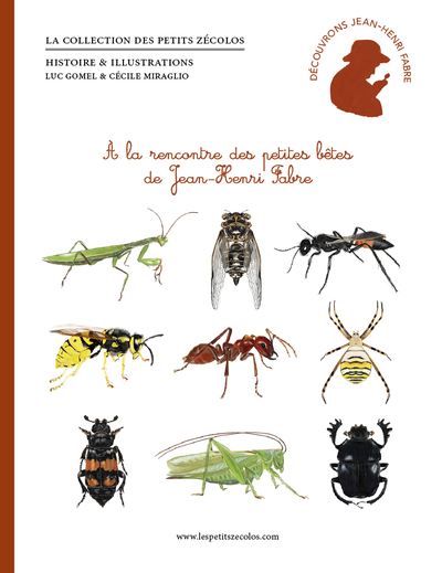Picture of À la rencontre des petites bêtes de Jean-Henri Fabre