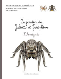 Image de Le jardin de Juliette et Joséphine : l'araignée