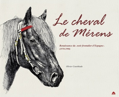 Picture of Le cheval de Mérens