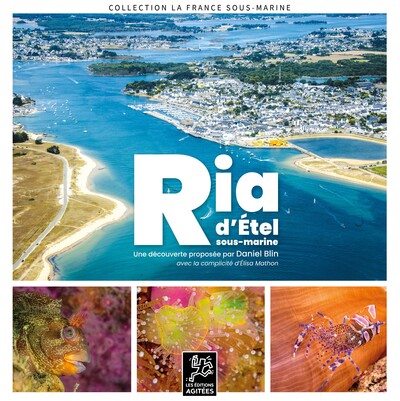 Image de Ria d'Étel sous-marine - une découverte