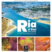 Image de Ria d'Étel sous-marine - une découverte