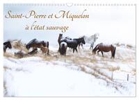 Image de Saint-Pierre et Miquelon à l'état sauvage (Calendrier mural 2027 DIN A3 vertical), CALVENDO calendrier mensuel