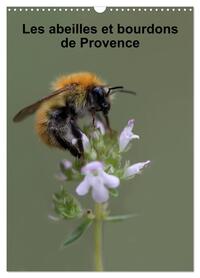Image de Les abeilles et bourdons de Provence (Calendrier mural 2027 DIN A3 horizontal), CALVENDO calendrier mensuel
