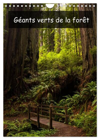 Picture of Géants verts de la forêt (Calendrier mural 2027 DIN A4 horizontal), CALVENDO calendrier mensuel