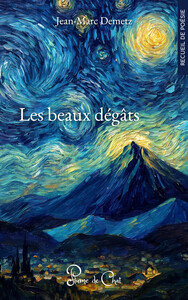 Picture of Les beaux dégâts