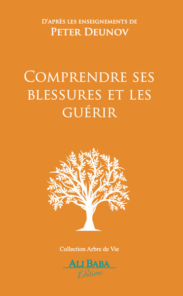 Picture of Comprendre ses blessures et les guérir