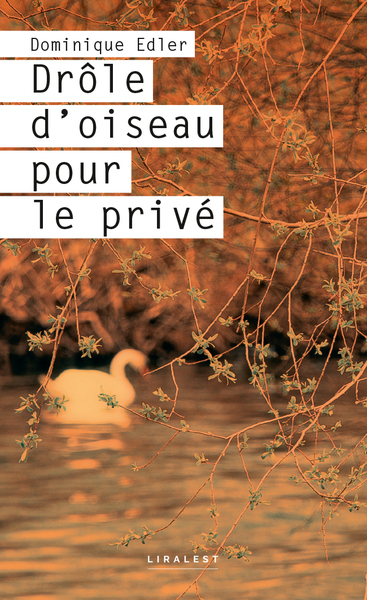 Image de Drôle d'oiseau pour le privé