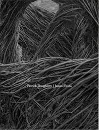 Picture of Patrick Dougherty & James Florio Sticks /anglais