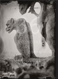 Picture of Tomas van Houtryve 36 Views of Notre Dame /anglais