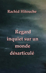Picture of Regard inquiet sur un monde désarticulé