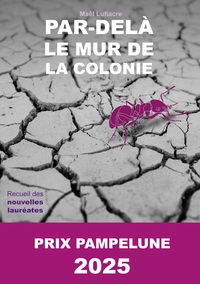 Picture of Par-delà le Mur de la Colonie