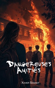 Picture of Dangereuses Amitiés