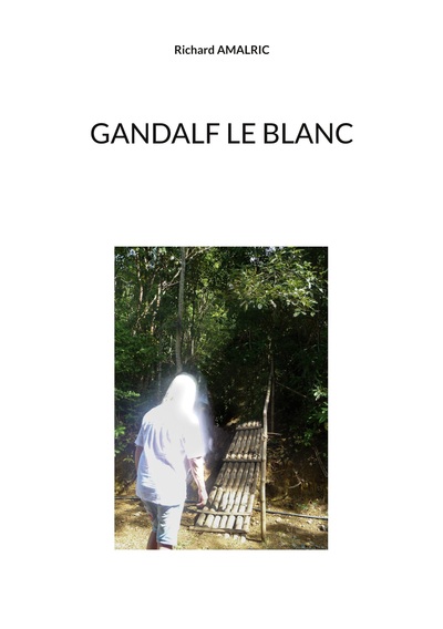 Picture of Gandalf le Blanc