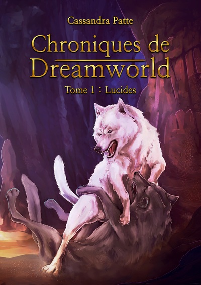 Image de Chroniques de Dreamworld