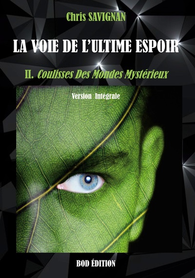Picture of La voie de l'ultime espoir