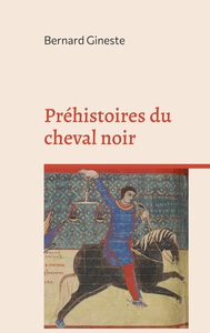 Image de Préhistoires du cheval noir