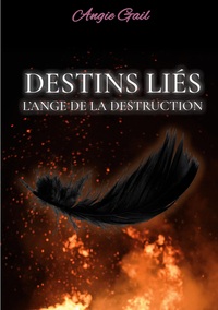 Picture of Destins Liés