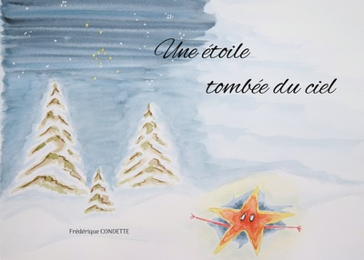 Picture of Une étoile tombée du ciel