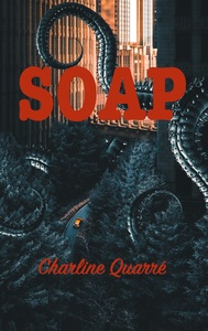 Picture of Soap