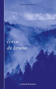 Image de Écrin de brume