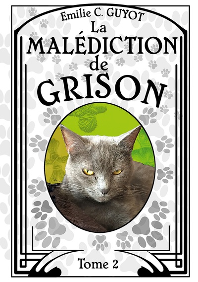 Picture of La Malédiction de Grison