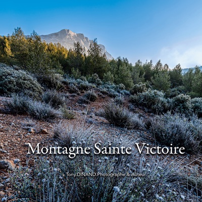 Picture of Montagne Sainte Victoire - Chroniques 2022