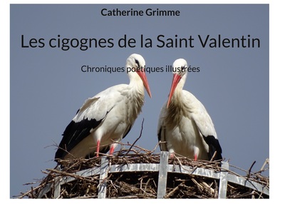 Image de Les cigognes de la Saint Valentin