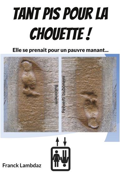 Picture of Tant pis pour la chouette !