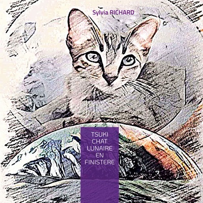 Picture of Tsuki chat lunaire en Finistère
