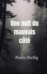 Picture of Une nuit du mauvais côté