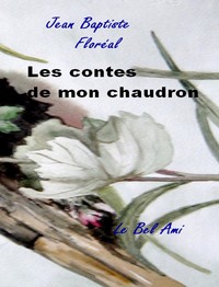 Picture of Les contes de mon chaudron