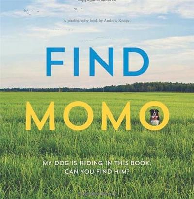 Image de Find Momo /anglais