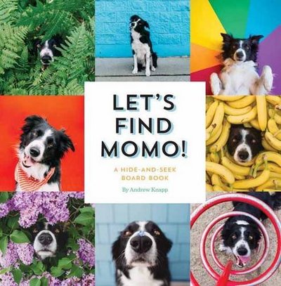 Image de Let's Find Momo ! /anglais