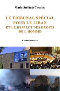 Image de Le tribunal spécial pour le Liban et le respect des droits de l'homme
